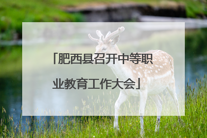 肥西县召开中等职业教育工作大会